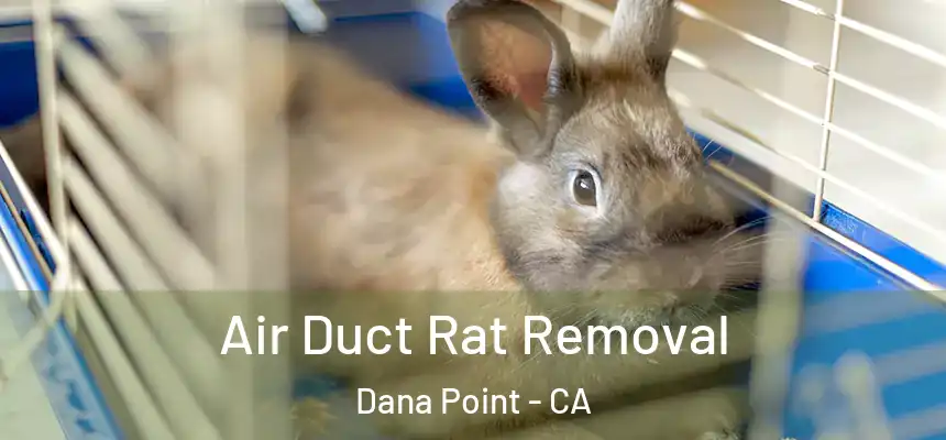Air Duct Rat Removal Dana Point - CA