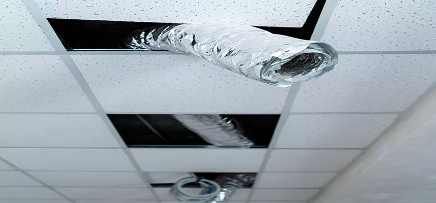 Affordable HVAC Sanitizing After Pest Removal in Dana Point