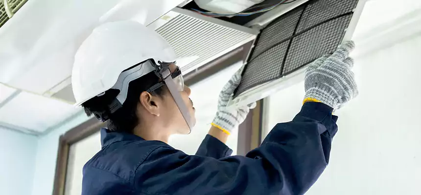 Our Mold & Mildew Removal from Air Ducts Services in Dana Point, CA