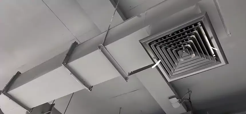 Our Pest Removal From Ducts Services in Dana Point, CA