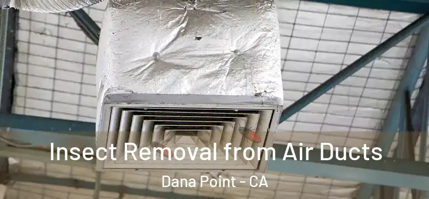  Insect Removal from Air Ducts Dana Point - CA