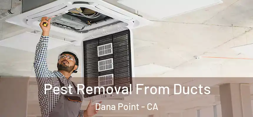 Pest Removal From Ducts Dana Point - CA
