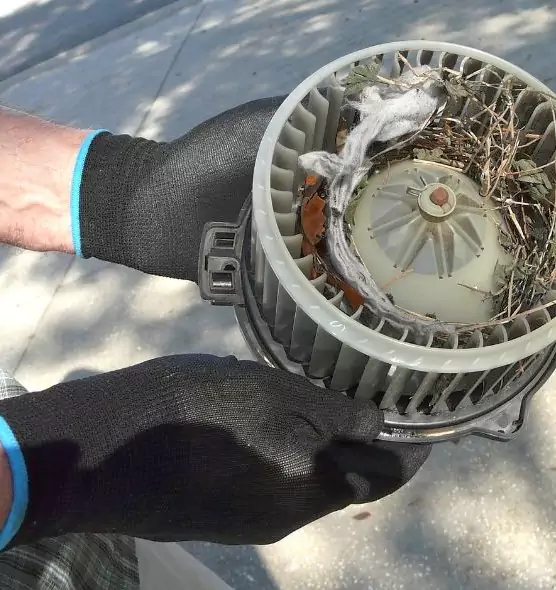 About Air Duct Mice Removal in Dana Point, CA