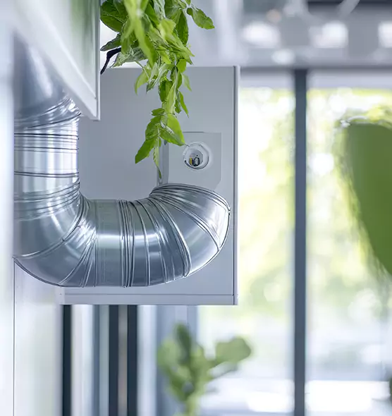 Professional Eco-Friendly Duct Cleaning Services in Dana Point, CA