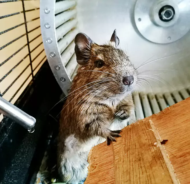 Why Homeowners & Businesses Trust Us Dana Point, CA