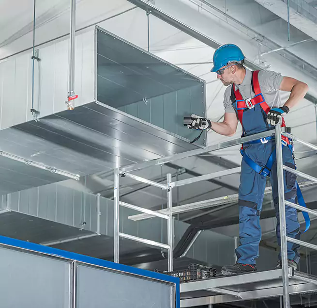 Why Homeowners & Businesses Trust Us in Dana Point, CA?