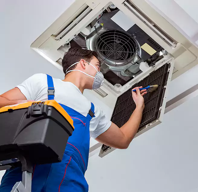 Why Homeowners & Businesses Trust Us in Dana Point, CA