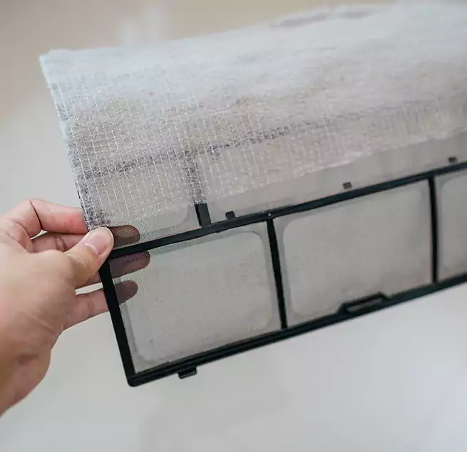 Why Homeowners & Businesses Trust Us in Dana Point, CA?