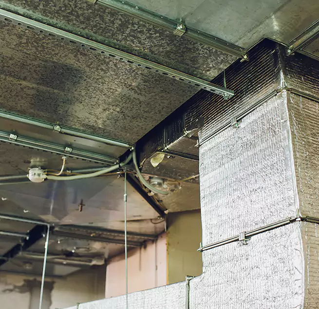 Why Homeowners & Businesses Trust Us in Dana Point, CA?