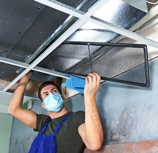 Why Homeowners & Businesses Trust Us in Dana Point, CA?